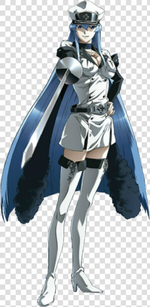 Spacebattles Forums   Akame Ga Kill Esdeath Full Body  HD Png Download