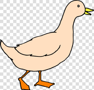 Transparent Duck Clipart Png   Walking Duck Clipart  Png Download