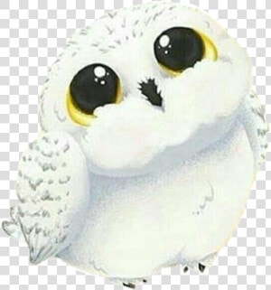 Cute Hedwig Harry Potter  HD Png Download