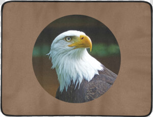 Bald Eagle Head 001 03 Rd Beach Mat 78 X 60   American Bald Eagle Head  HD Png Download