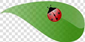 Lady Beetle Clipart Leaf   Lady Bug Leaf Clip Art  HD Png Download