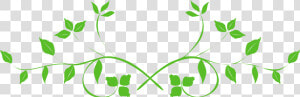 Leaf Swirl Png Background Image   Transparent Transparent Background Leaf Png  Png Download