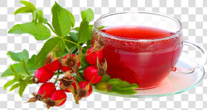 Green Tea Leaf With Cup   Rosehip Tea Png  Transparent Png