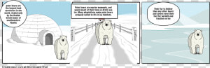 Polar Bear Storyboard Adaptations  HD Png Download