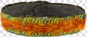 Feather Lei Hatband Peacock   Feather Lei  HD Png Download