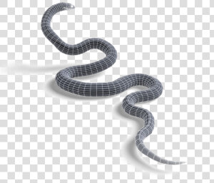 Black Mamba Snake Transparent Image Racer   Black Mamba Transparent  HD Png Download