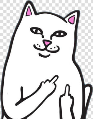 Cat Vector Rip N Dip   Fuck You Cat Meme  HD Png Download