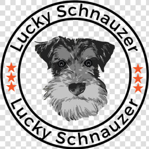 Transparent Schnauzer Clipart   Miniature Schnauzer  HD Png Download