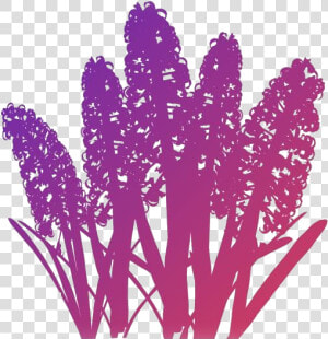 Hyacinth Flower Png Free Transparent Clipart   Flower  Png Download