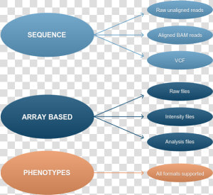 Ega Accepted Data Types   Png Download   Circle  Transparent Png