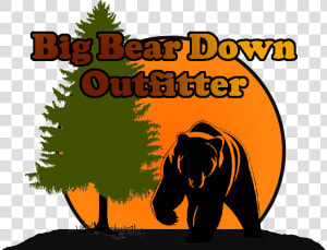 Bear Logo Alt Tree Color   Evergreen Tree Silhouette  HD Png Download