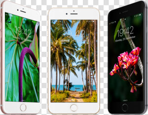 Free Tropical Wallpapers For Iphone   Iphone 8 Tropical  HD Png Download