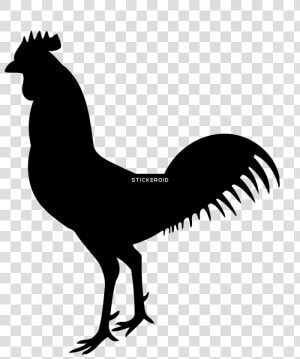 Art wing fowl feather   Cock Silhouette  HD Png Download