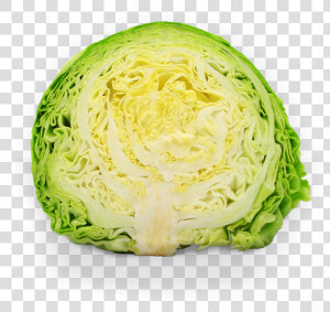 Lettuce Clipart Sauerkraut   Repolho É Vegetal  HD Png Download