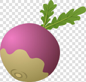 Turnip Clipart  HD Png Download