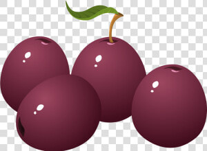 Png Plum Clipart   Plums Clipart  Transparent Png