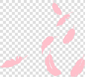 Falling Pink Feathers Png  Transparent Png