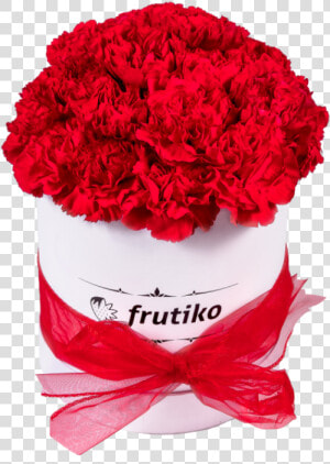 Red Carnations White Oval Box   Červené Karafiáty  HD Png Download