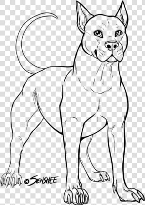 Pitbull Line Drawing At Getdrawings   Pitbull Drawing  HD Png Download