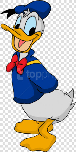 Attractive Donald Duck Png Png Images   Donald Duck Cartoon Drawing  Transparent Png