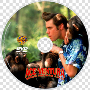 Transparent Ace Ventura Png   Ace Ventura 2 Dvd Cover  Png Download