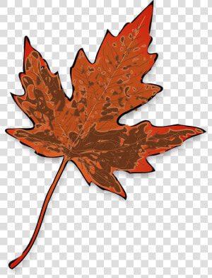 Maple  Leaf  Fall  Yellow  Brown  Decay  Nature  Autumn  HD Png Download