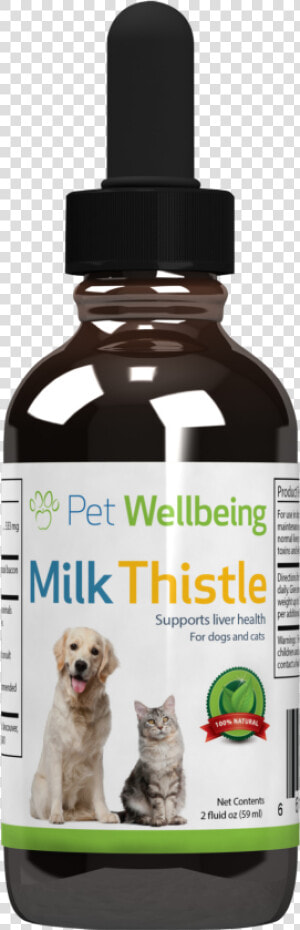 Milk Thistle  2oz  For Dogs  amp  Cats   Petwellbeing Kidney Support Gold  HD Png Download