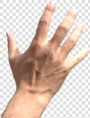 Thumb Image   Hand Grabbing Png  Transparent Png