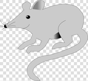 Sketsa Gambar Tikus  HD Png Download