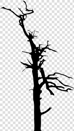 Dead Tree Silhouette Transparent Png Png Dead Trees   Dead Trees Silhouette Free  Png Download