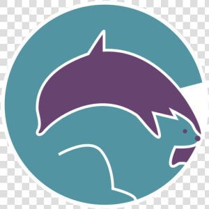 Squirrel Dolphin Logo Concept Concept Icon Minimal   Common Bottlenose Dolphin  HD Png Download