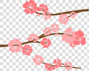 Cherry Blossom Drawing   Cute Cherry Blossom Background  HD Png Download