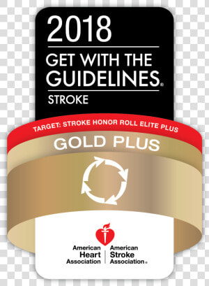 2018 Get With The Guidelines Gold Plus Target Stroke  HD Png Download