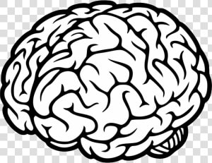 Brain Png   Brain Svg File Free  Transparent Png