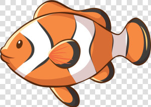 Wild Nemo Fish   Imagenes De Animales Marinos  HD Png Download