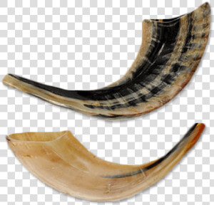 Horn musical Instrument shofar wind Instrument   Shofar Transparency  HD Png Download