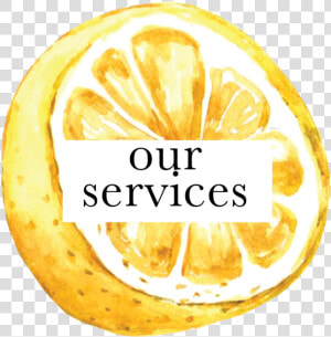 Our Services   Bitter Orange  HD Png Download