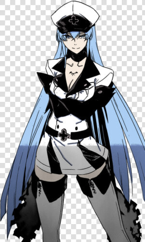 Series  Akame Ga Kill   Akame Ga Kill Esdeath Png  Transparent Png