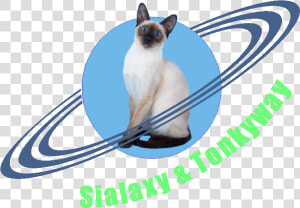 Transparent Siamese Cat Png   Planet With Rings Drawing  Png Download