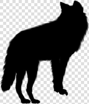 Gray Wolf Png  Transparent Gray Wolf Vector  Png Download