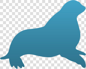 California Sea Lion Clipart   Png Download   California Sea Lion  Transparent Png