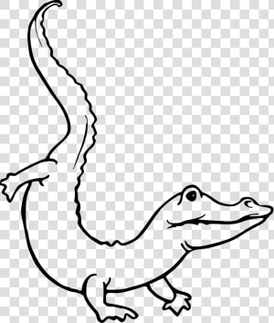 Drawing At Getdrawings Com   Alligator Outline  HD Png Download