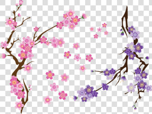 Transparent Cherry Blossom Clip Art   Cherry Blossom Flower Vector Free  HD Png Download