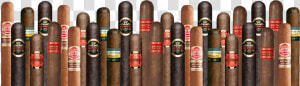 Cuban Cigar Png  Transparent Png