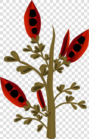 This Free Icons Png Design Of Firebog Firebean   Plants  Transparent Png