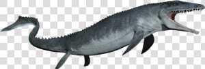 Mosasaurus Detail Header   Mosasaurus Png  Transparent Png