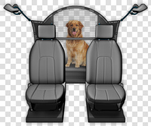 Pet Barrier For Front Seat  HD Png Download