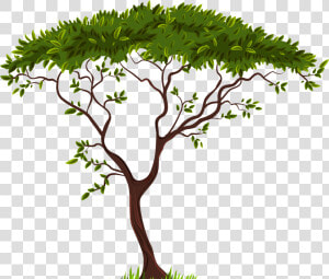 Exotic Tree Png Clip Art   Transparent Background Tree Clip Art  Png Download