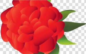 Free Png Download Mexican Flower Png Images Background   Mexican Paper Flower Clip Art  Transparent Png