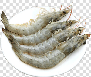 Prawn Fresh Seafood Seafood Qingdao Super Large Frozen   Caridean Shrimp  HD Png Download